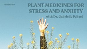 plant medicines for stress and anxiety workshop flyer