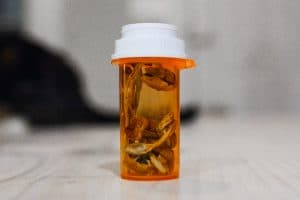 shrooms in prescription bottle