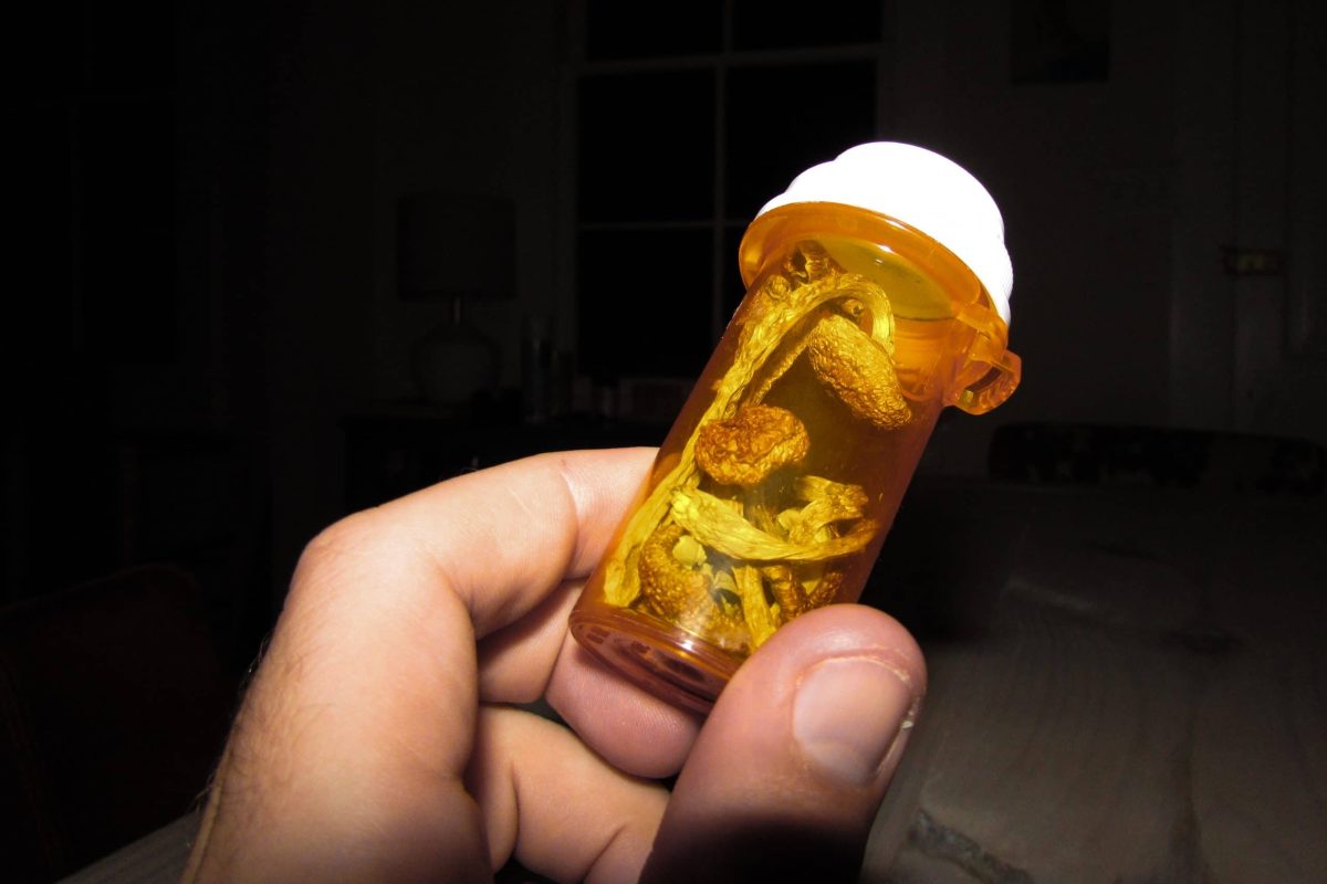 Shrooms in prescription bottle