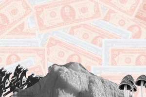 Dollar bills, mountain, soldiers, shrooms