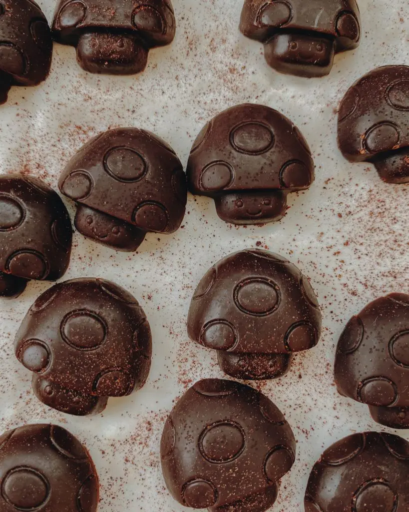 Doubleblind: A Picture of Mushroom Chocolates