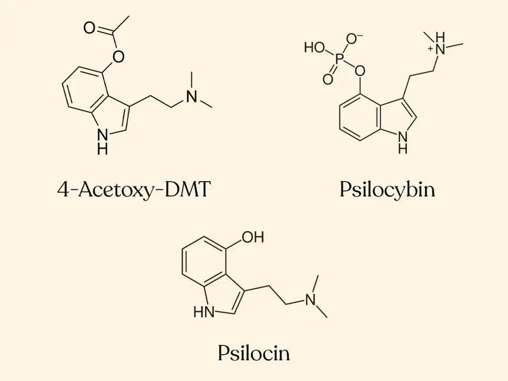 DoubleBlind: 4-Acetoxy-DMT, Psilocybin, and Psilocin chemical structures.