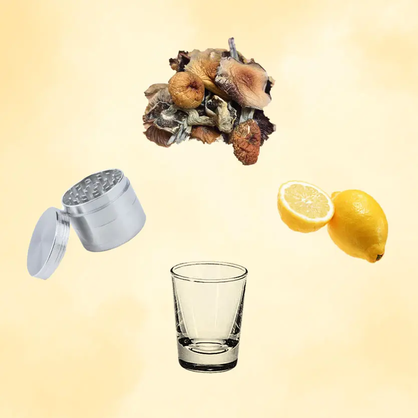 Image of supplies needed to lemon tek—lemon, psilocybin mushrooms, shot glass, and grinder.