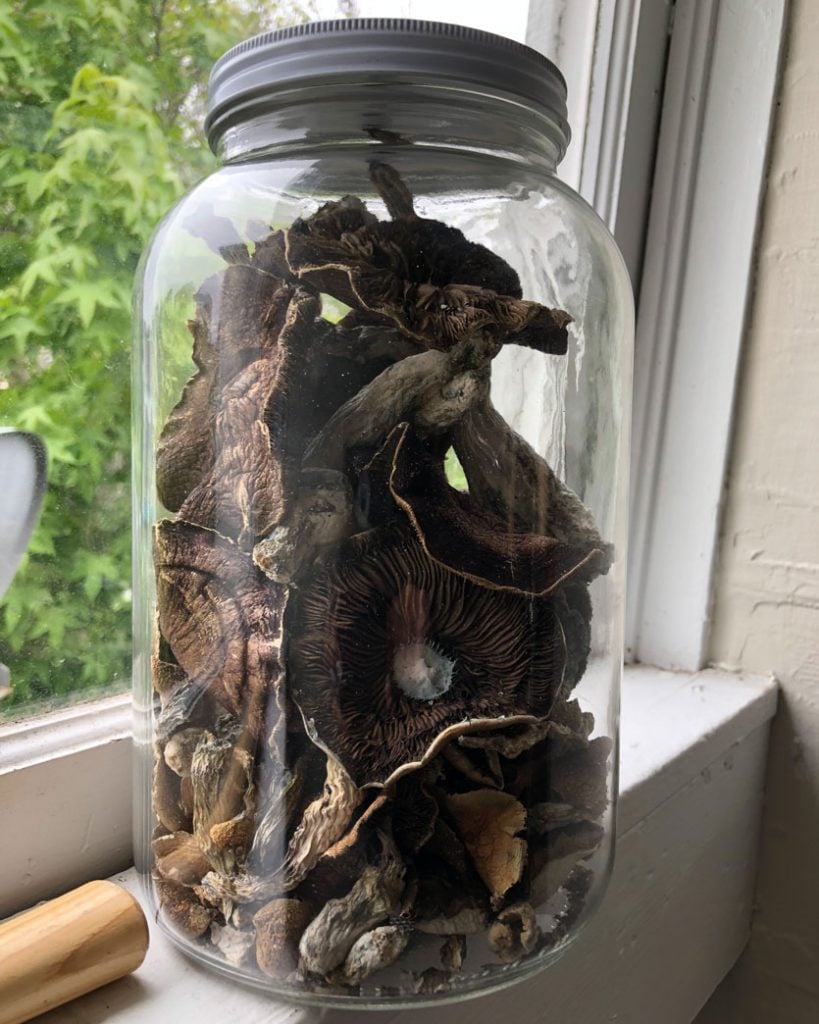 Image of dried mushrooms inside of a ball jar.