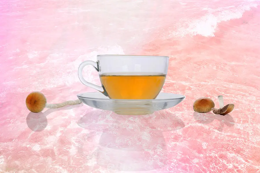 Discover the Aromatic and Refreshing Magic of Mushroom Tea