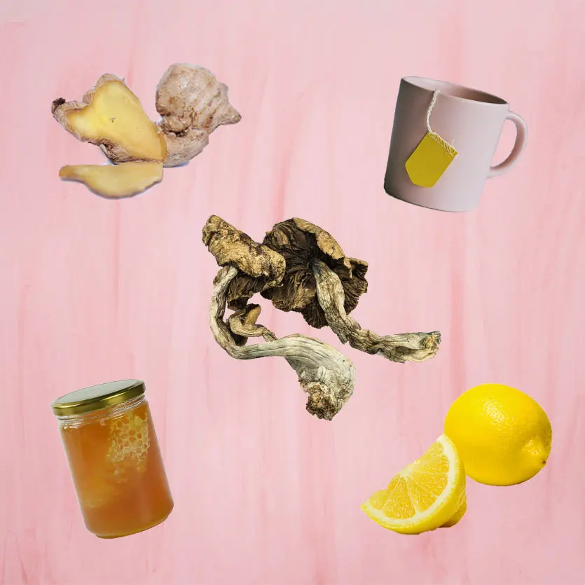 Image of psilocybin mushrooms, ginger, cup of tea, honey, and lemon.