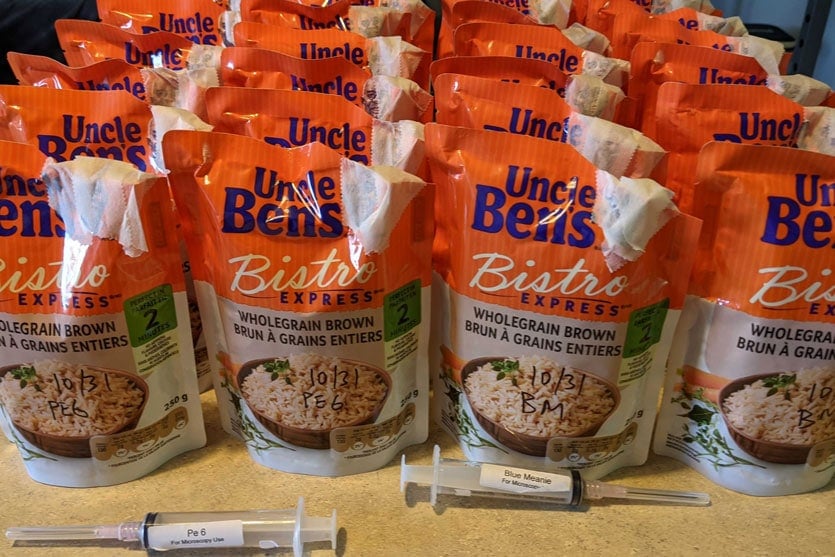 Image of inoculated bags of Uncle Ben's rice for Spiderman Tek.