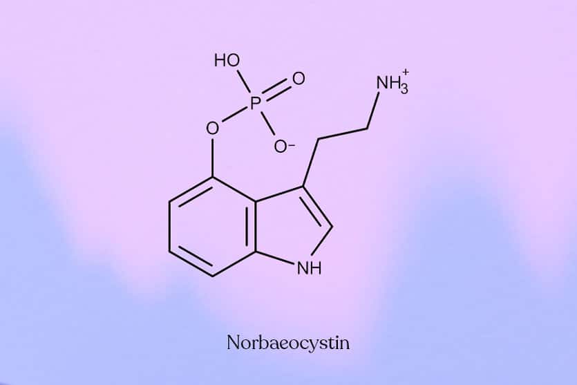 Norbaeocystin chemical structure