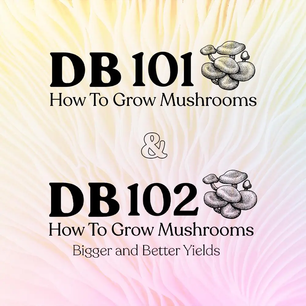 DoubleBlind How to Grow Mushrooms bundle