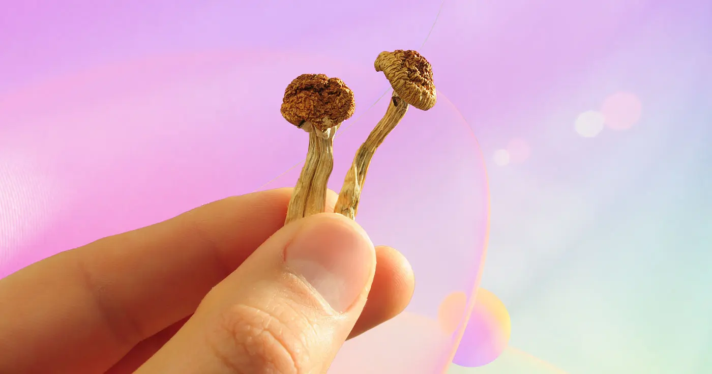Mushroom Dosage: What is the “Right” Amount of Shrooms? 