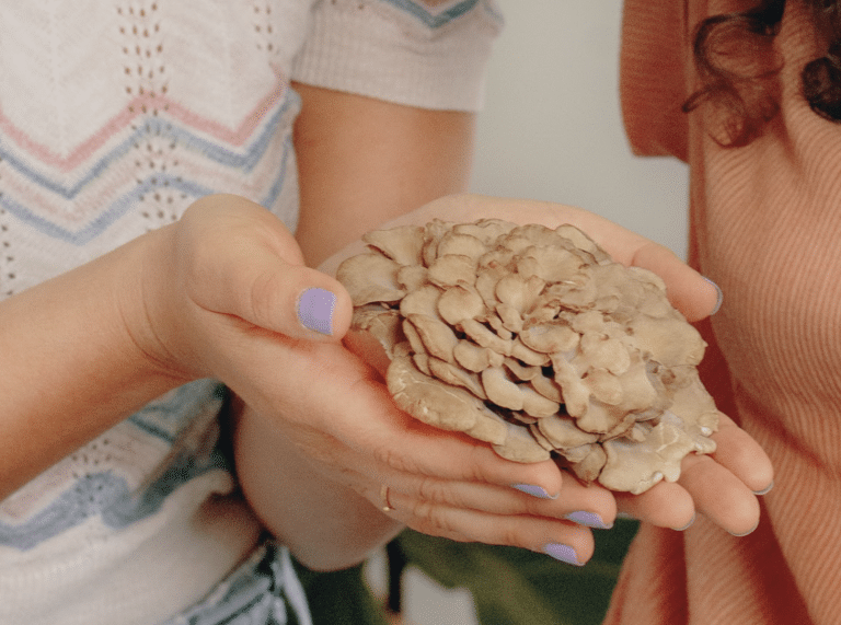 hand holding mushrooms