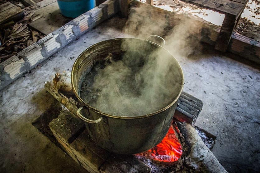The Ayahuasca Experience: A Pilgrimage to the Spirit | DoubleBlind Mag