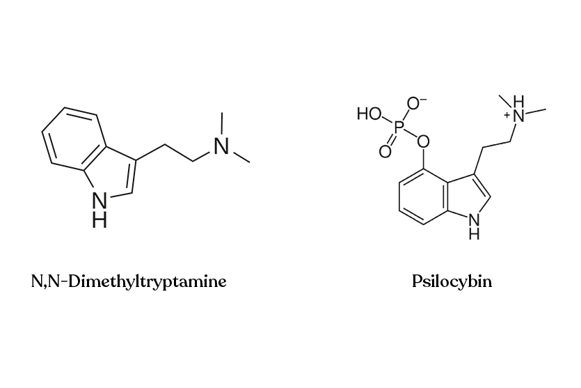 DMT and psilocybin molecular structure