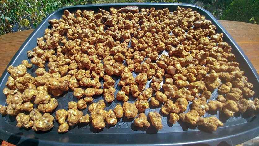 mushroom truffles