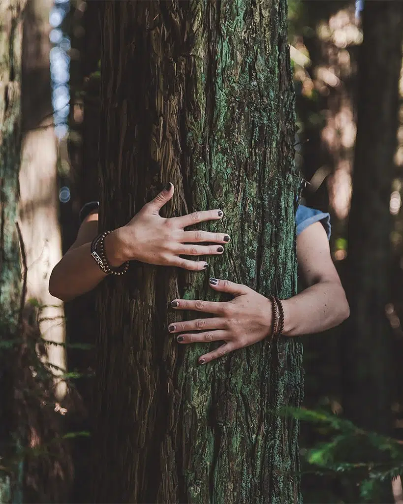 arms wrapped around tree