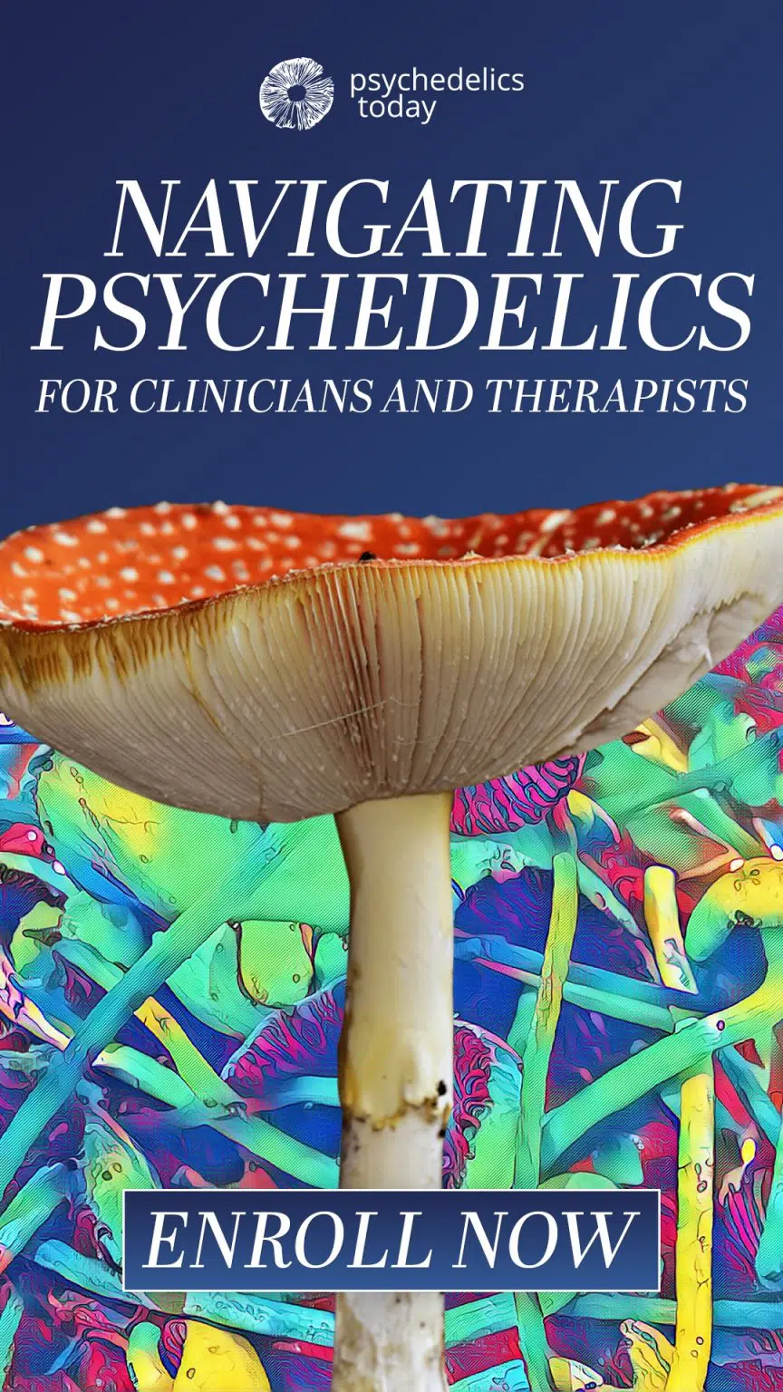 psychedelic trip therapist