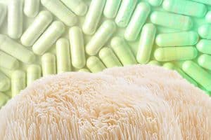 Lion’s Mane Capsules: A Definitive Buyers Guide