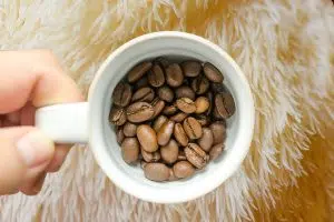 Lion’s Mane Coffee: Benefits & Recipe