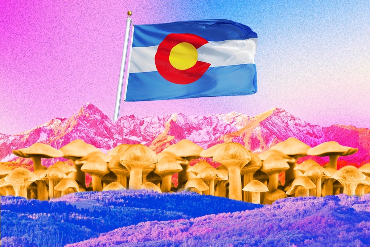 colorado flag on mountain and mushrooms
