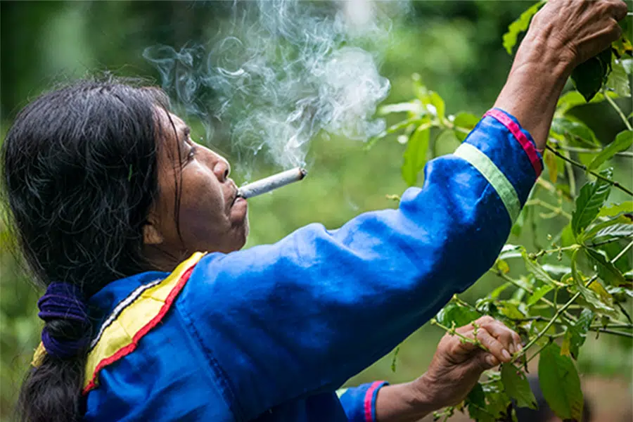 Indigenous woman smoking mapacho