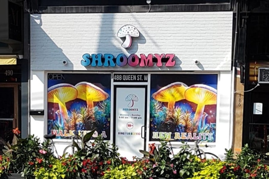 Shroomyz dispensary Toronto, Canada