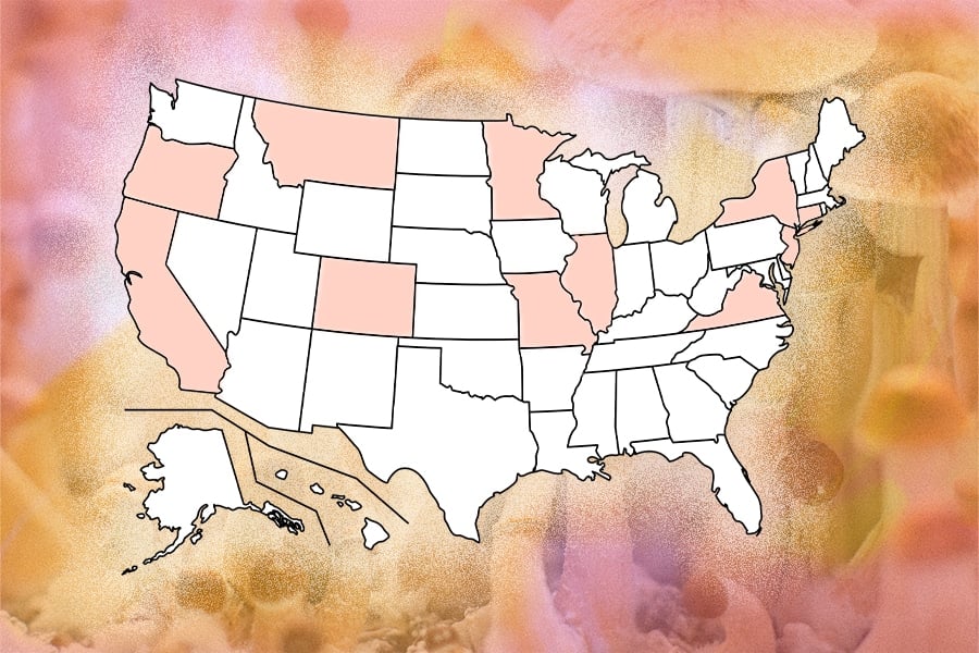 US map highlighting states with psychedelic reform initiatives in 2023