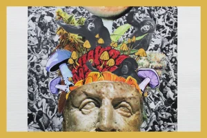 collage of head mushrooms and apes