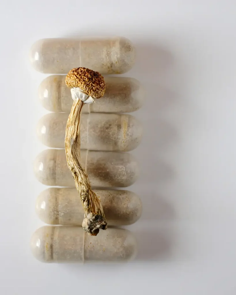 psilocybin mushroom capsules