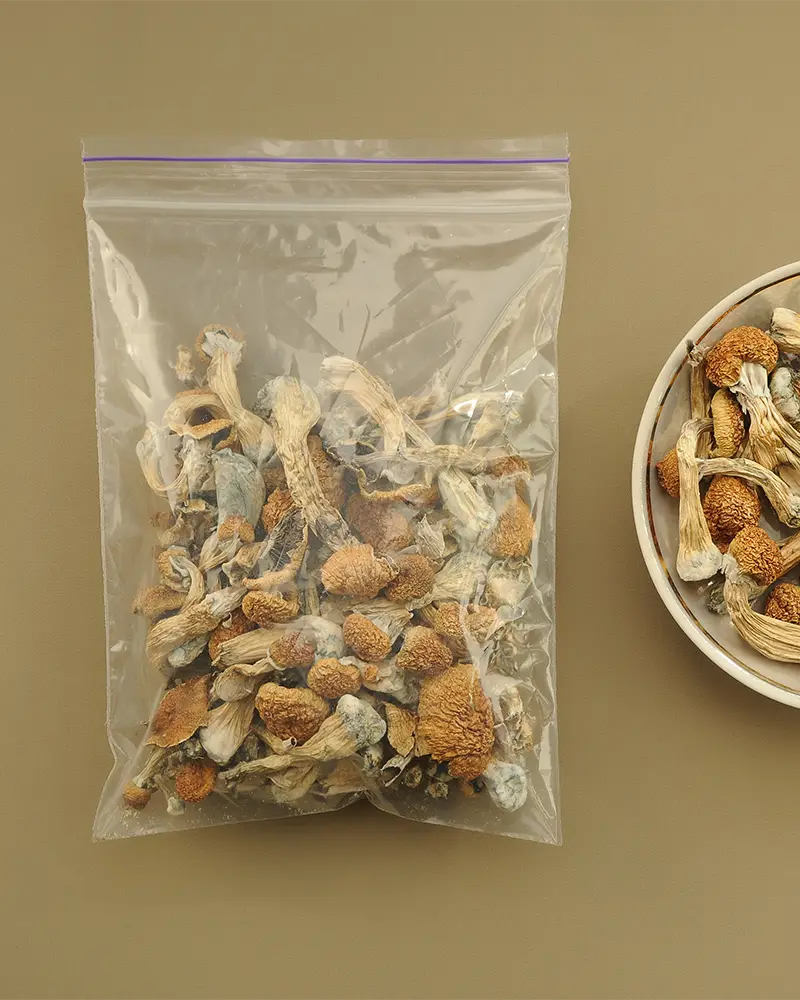 bag of psilocybin mushrooms