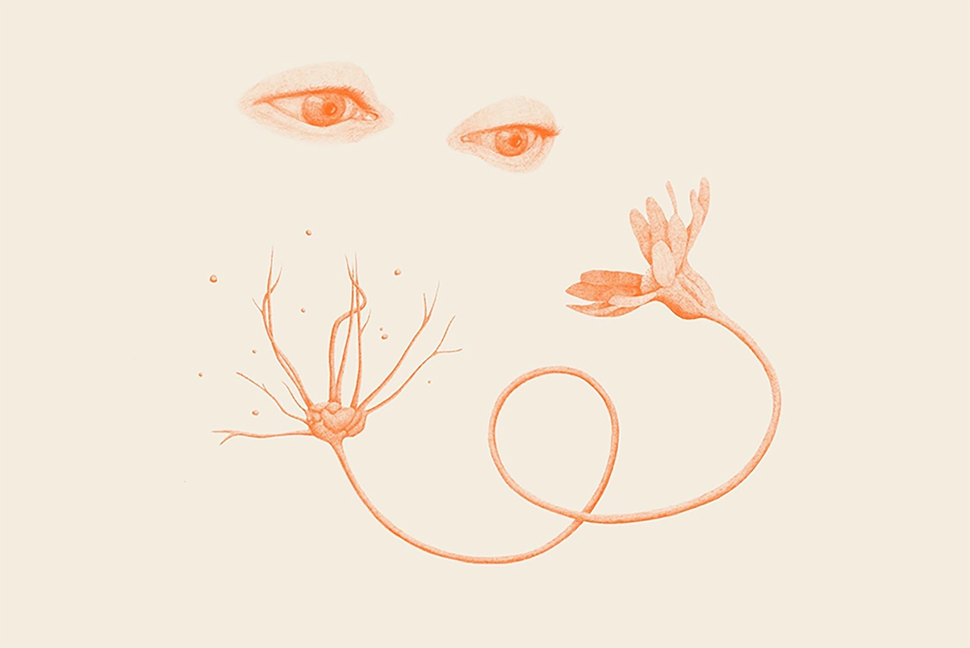 illustration of eyes and plant