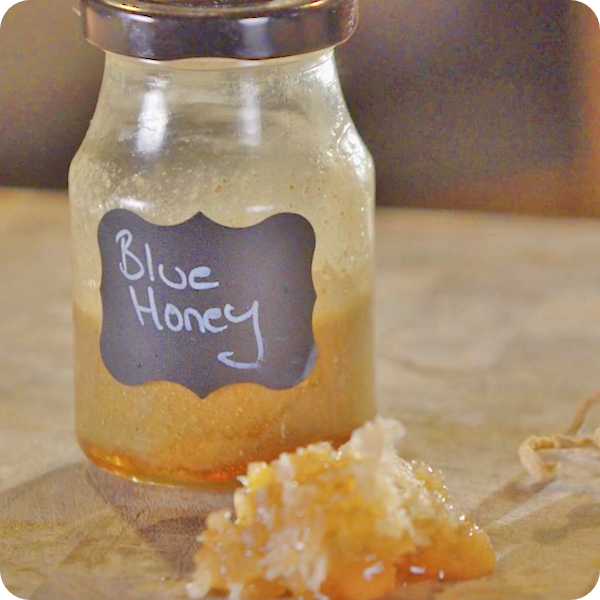 Cooking-With-Shrooms-Gallery-Blue-Honey