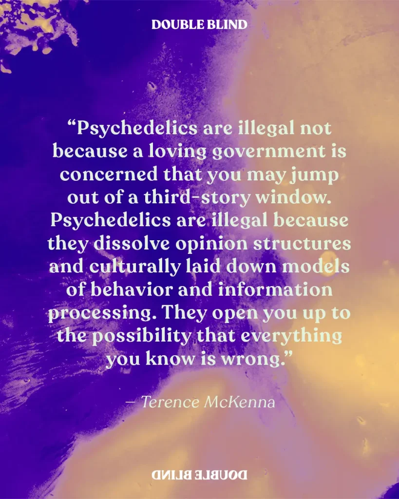 terence mckenna quote