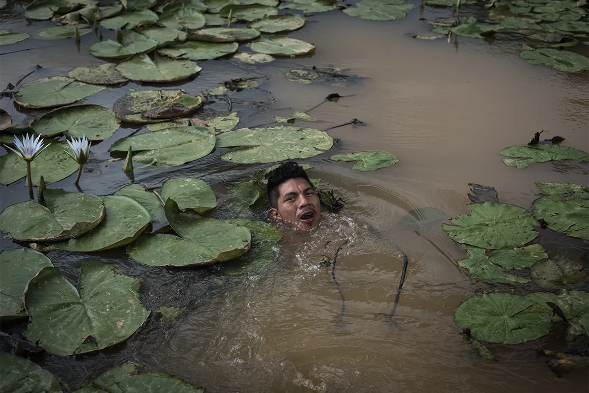 man swimming surrounded by lily pads