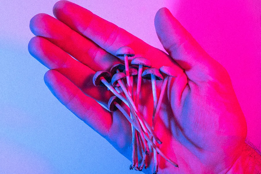 hand holding psychedelic psilocybin mushrooms with neon lighting