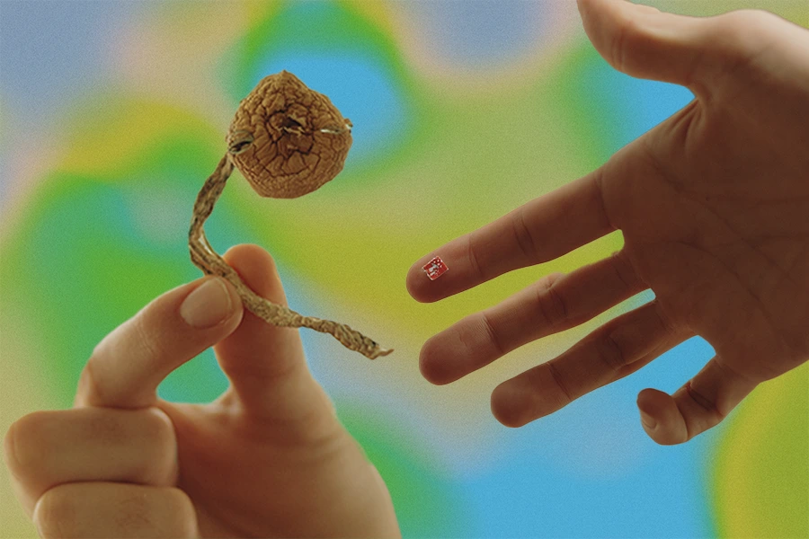 hand holding psilocybin mushroom and hand with tab of LSD on finger tip