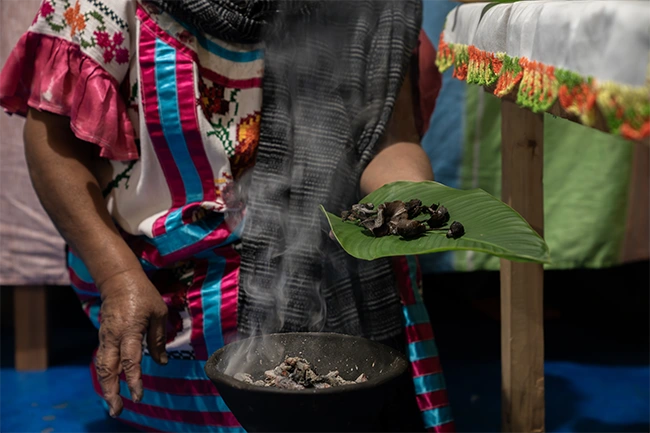 person holding mushrooms on banana leaf and cleansing them through smudging