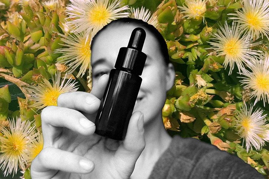 woman holding tincture bottle over background of kanna plants