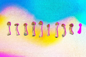 Collage Depicting 9 Psilocybin Mushrooms on Rainbow Gradient Background