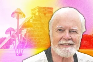 Collage of Man with Chichen itza and Mushrooms in Background