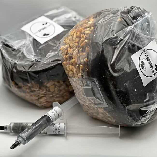 Denver Spore Company's Mushroom Grow Bag