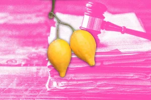 Collage of Iboga with Gavel on Legal Papers in Background