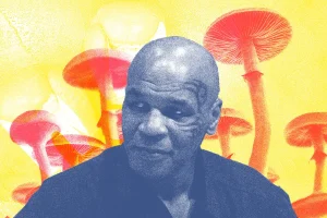Collage of Mike Tyson with Mushroom and Boxing Gloves in Background