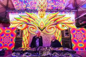 Alex and Allyson Grey on stage with Trippy Artwork in Background