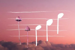 Film Art for East Forest depicting Mushrooms and Musical Notes