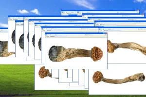 Collage of Old Computer Background with Browsers Open Displaying Mushrooms
