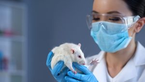 Scientists Engineered a "Humanized" Mouse to Study Psychedelics