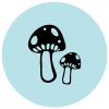 blue mushrooms icon